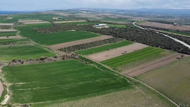 Çanakkale Savaşları’ndan kalma yeni bir şehitlik alanı tespit edildi