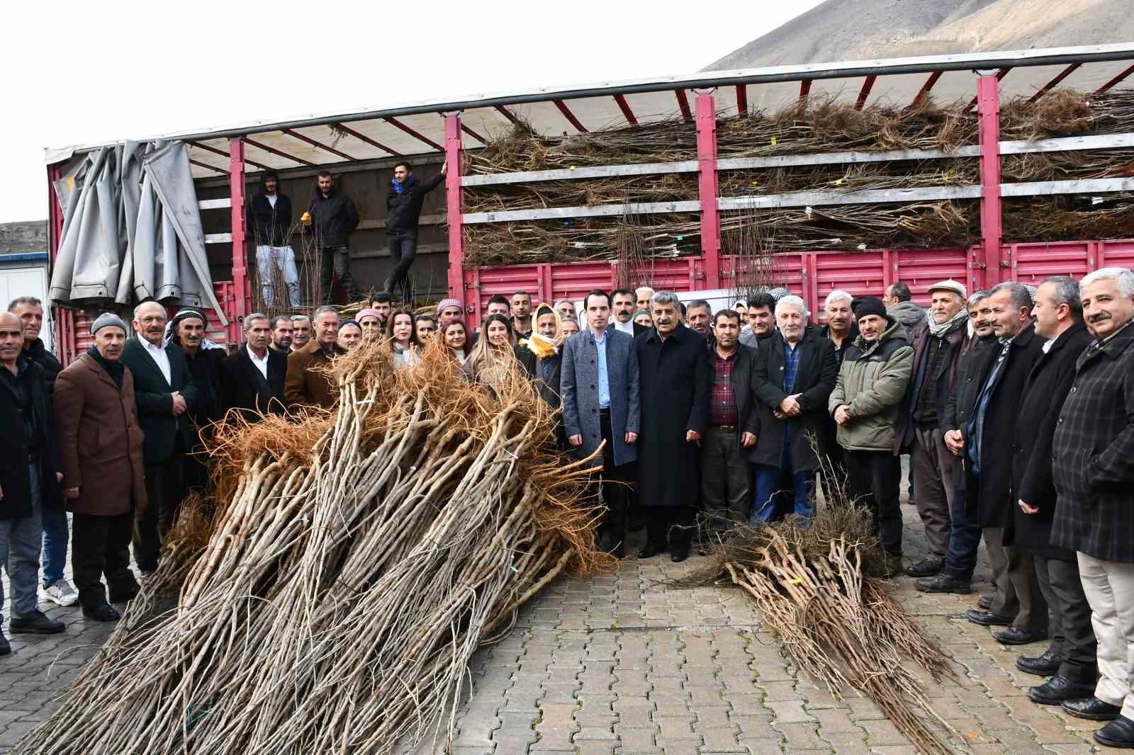 Çatak’ta fidan dağıtım