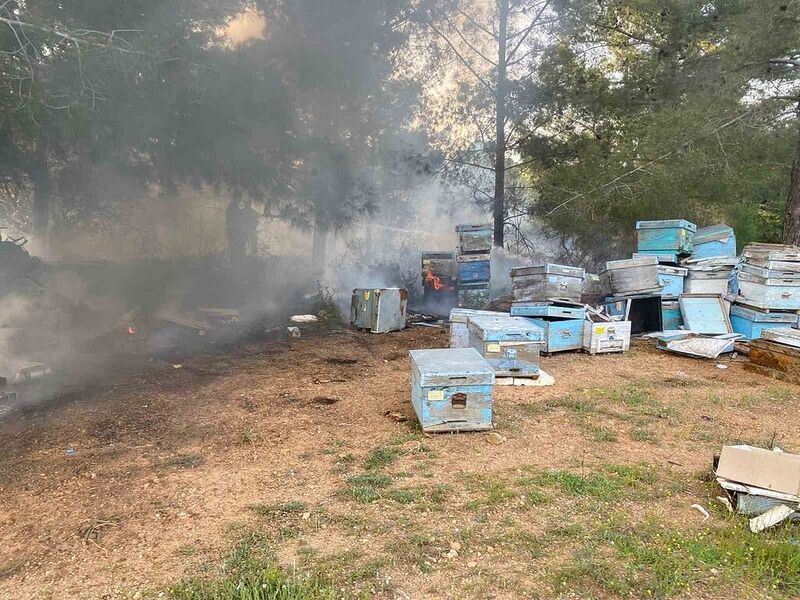 Datça’daki orman yangınında arı kovanları zarar gördü