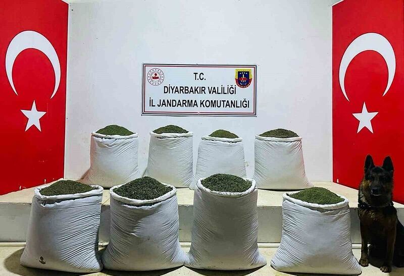 Diyarbakır’da 169 kilo esrar ele geçirildi