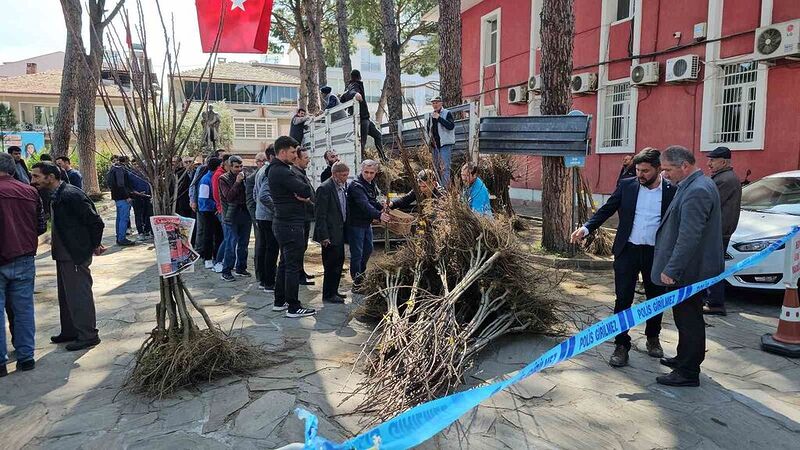 Gal arısı zararlısına karşı geliştirilen kestane fidanları üreticiye dağıtıldı