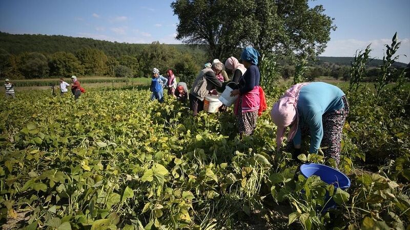 BALIKESİR'İN KÜÇÜK İLÇELERİ ARASINDA