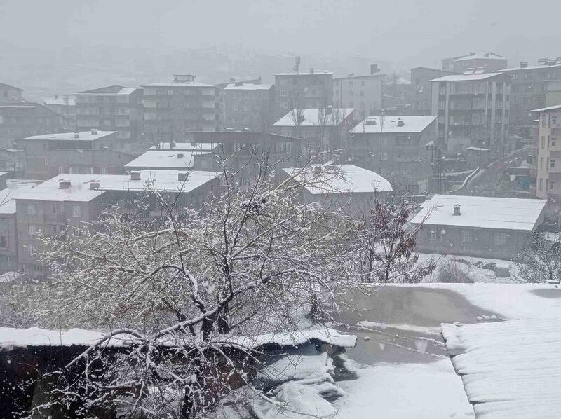 Hakkari’de lapa lapa kar yağışı