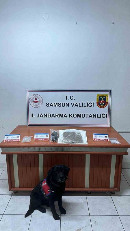 Jandarma tarafından uyuşturucuyla yakalanan şahıs tutuklandı