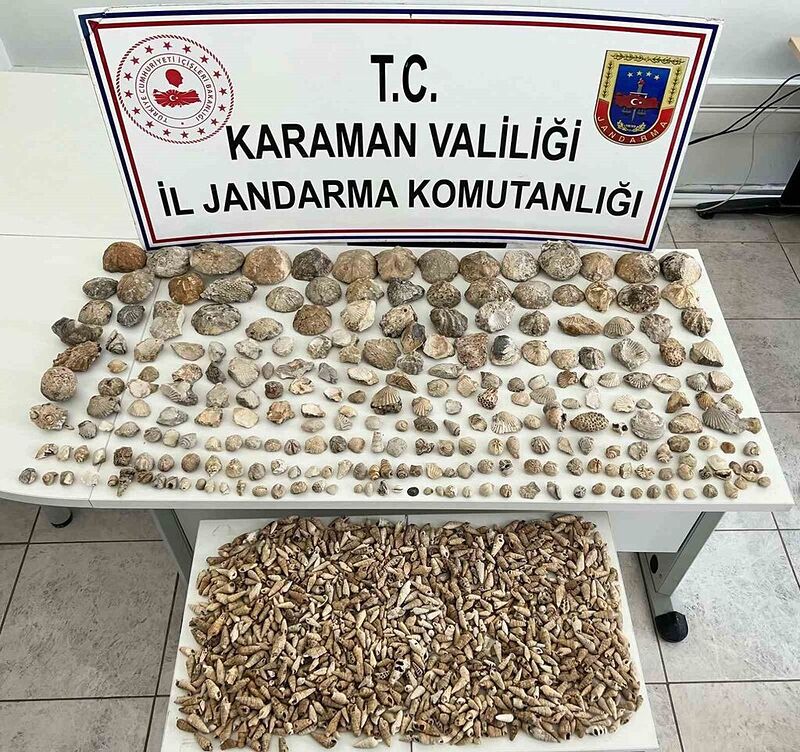 Karaman’da bin 780 adet bitki ve hayvan fosili ele geçirildi