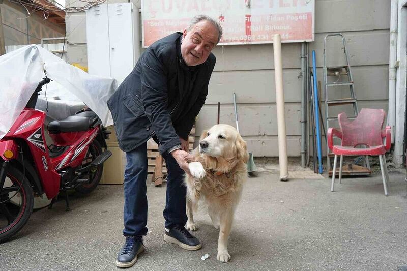 Köpeğin doktora havlaması sahibine 700 bin TL’ye patladı