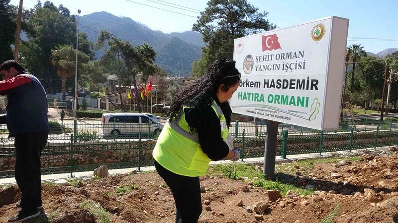 Marmaris’te binlerce fidan toprakla buluştu