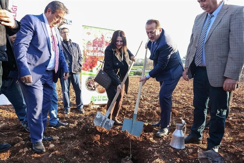 Mersin’de ’Siirt Fıstığı Mersin’de projesi kapsamında fidan dağıtıldı