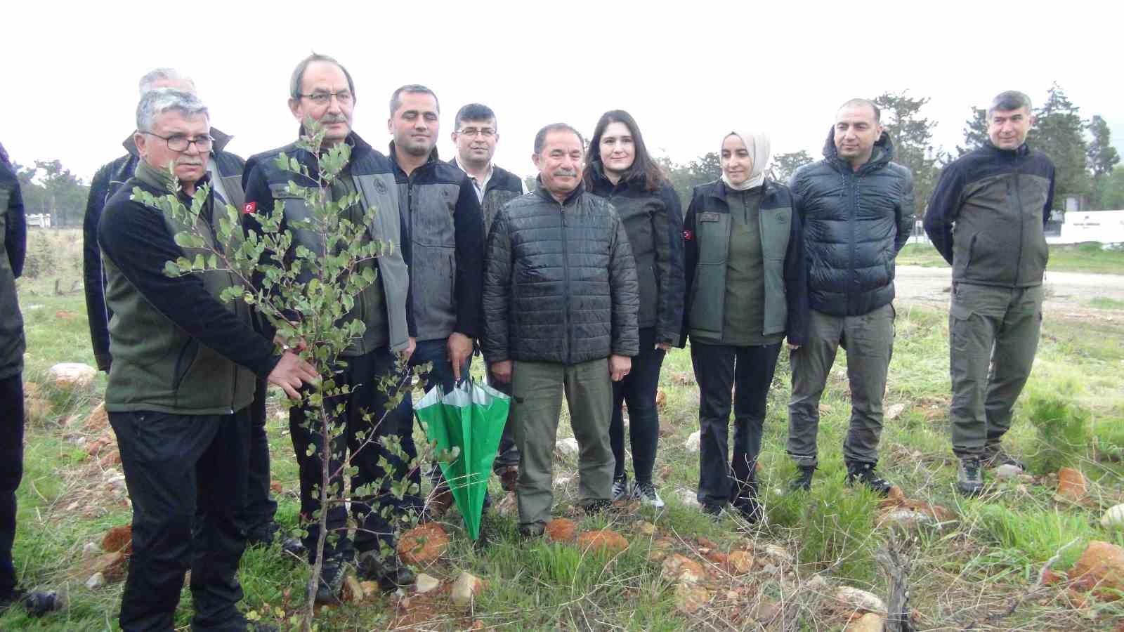 Mersin’de yanan 12 bin 946 hektar ormanlık alana 4 milyon fidan dikildi