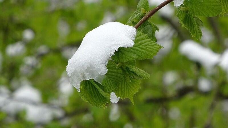 METEOROLOJİ'DEN YAPILAN AÇIKLAMADA, KENTTE