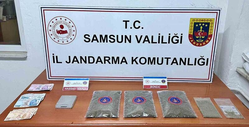 Samsun’da jandarma 1 kilo 50 gram bonzai ele geçirdi: 1 gözaltı