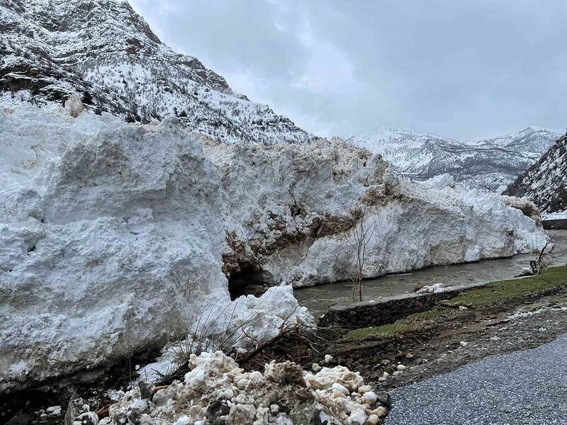 Siirt’te kar nedeniyle yolda mahsur kalan araçlar kurtarıldı