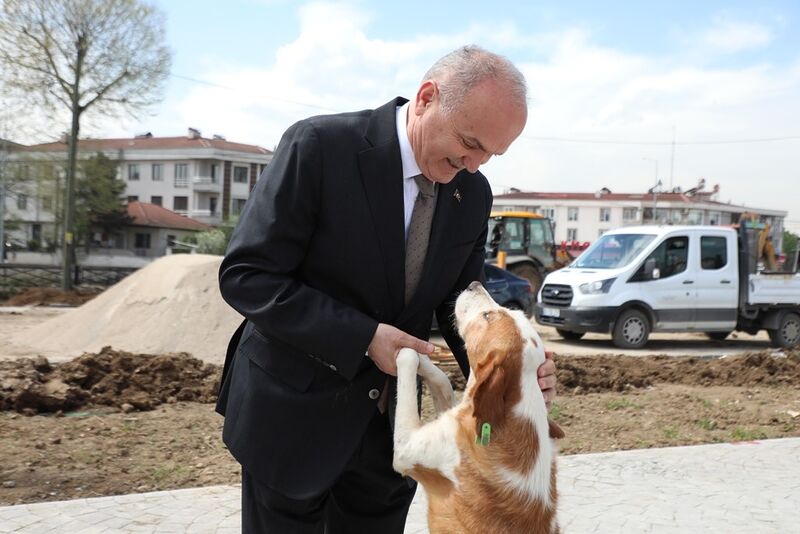 Sokaklarda saldırgan köpek kalmayacak