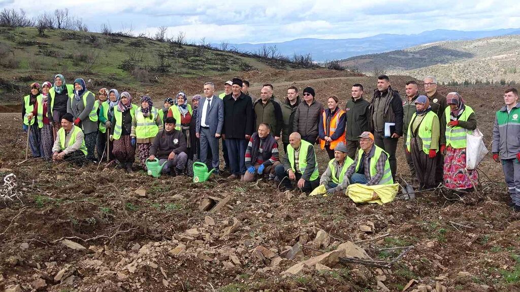 TAVŞANLI'DA YANAN ALANLAR AĞAÇLANDIRILIYOR