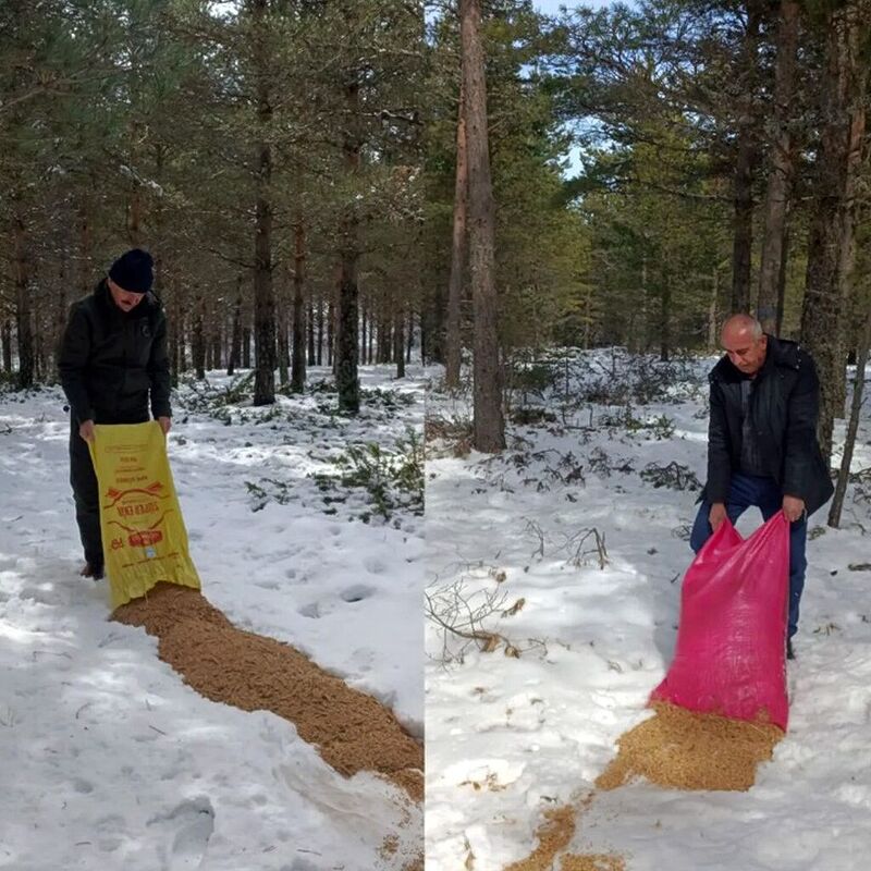 KARABÜK’ÜN YÜKSEK KESİNLERİNDE OLUMSUZ