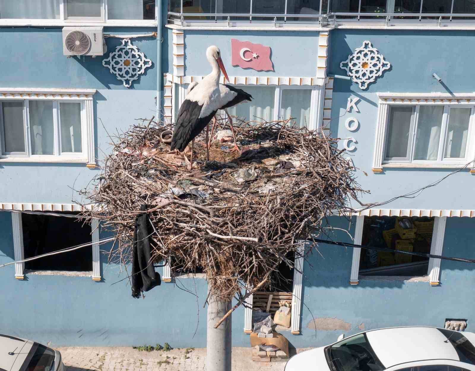 Yaren Leylek ile Balıkçı Adem’in arasına Nazlı girdi