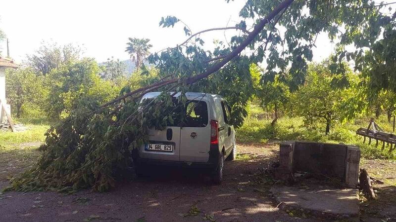 45 dakika yağdı, ağaçlar devrildi, çatı uçtu