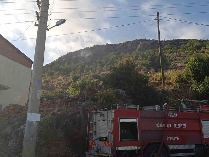 ANTALYA’NIN ALANYA İLÇESİNDE ORMANLIK