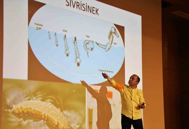 Antalya’da “sineksiz yaz” için ekipler hem sahada hem eğitimde