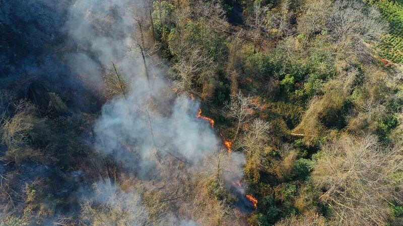 Artvin’de çıkan orman yangınında bir kişi gözaltına alındı