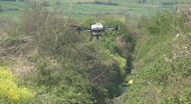 Bafra Ovası’nda dron destekli sivrisinek mücadelesi