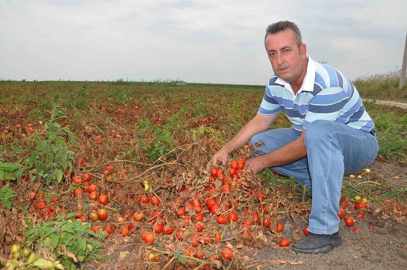 Başkan Erdem: “Salça ihracatının önü açılmalı”