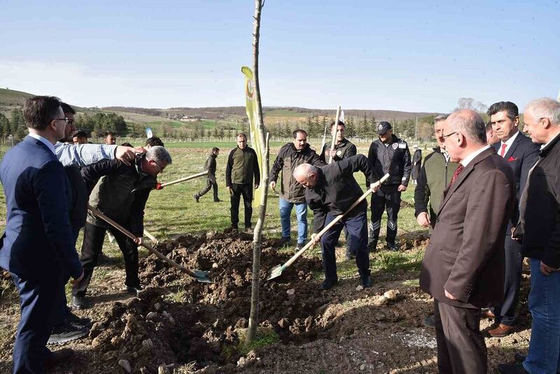 Bin 500 fidan toprakla buluşturuldu