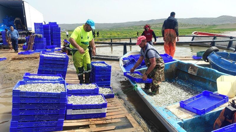 YOZGAT'TA BOZKIRIN ORTASINDAN AVRUPA’YA