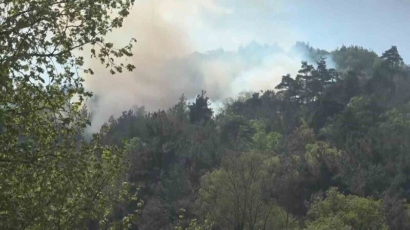 Bursa’da ormanlık alanda çıkan yangın kontrol altına alındı