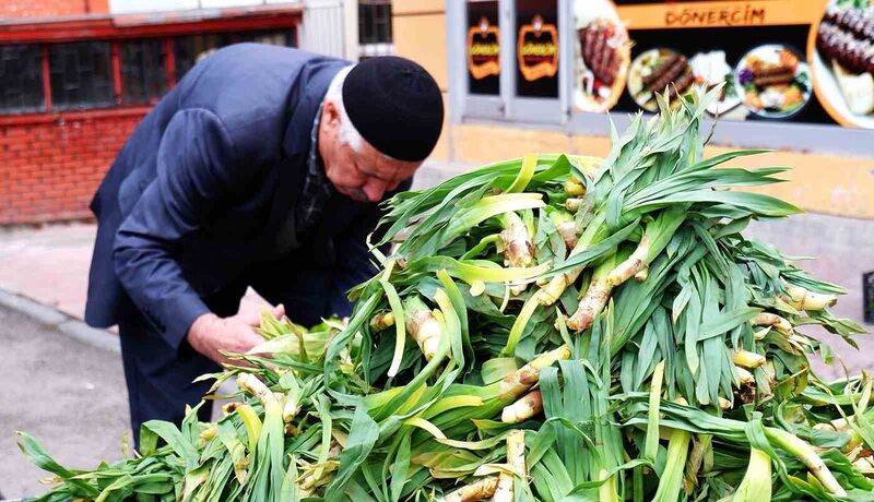 DOĞU ANADOLU BÖLGESİNDE VE