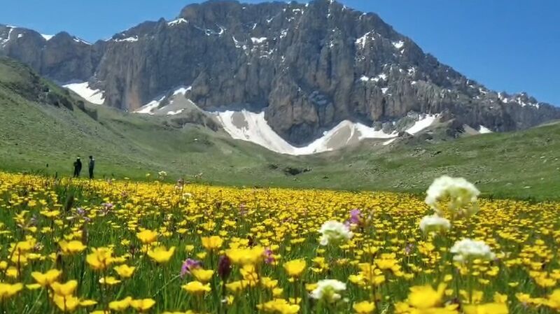 TUNCELİ’NİN BİYOÇEŞİTLİLİĞİ AŞIRI OTLATMA