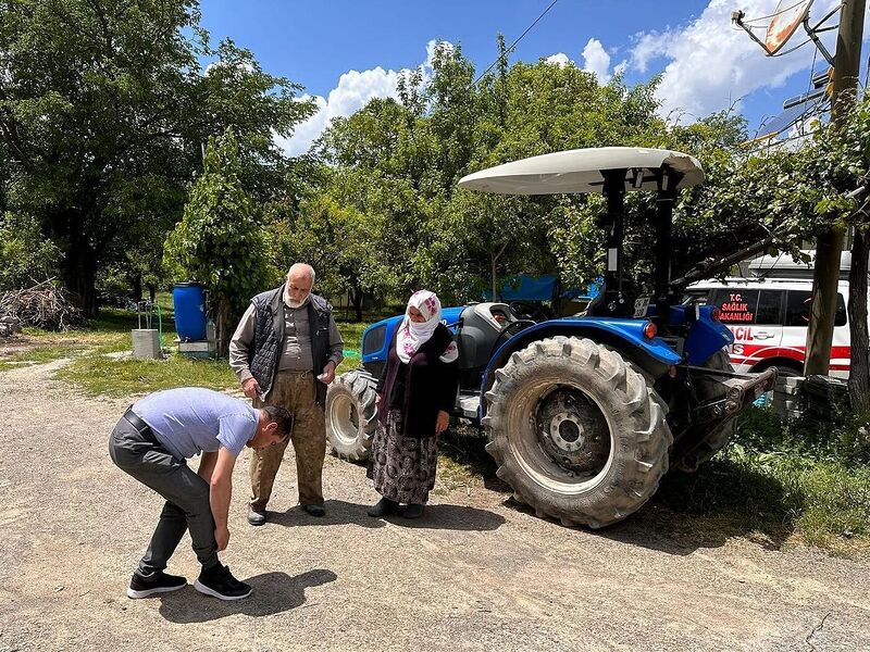 DOĞADA BULUNURKEN KENE POPÜLÂSYONUNA