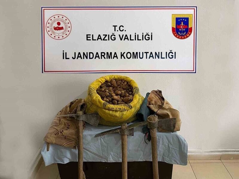 Elazığ’da 30 kilogram salep bitkisi ele geçirildi