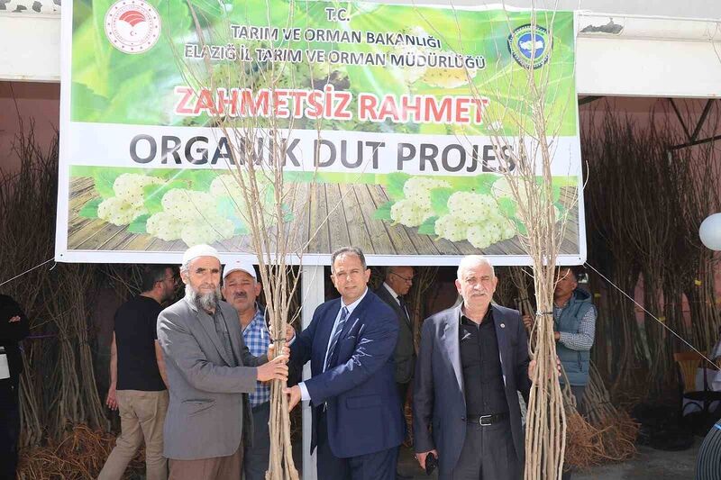 Elazığ’da üreticilere bin 400 adet dut fidanı dağıtıldı