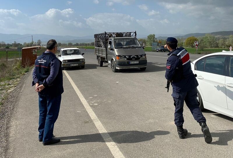 Emet’te hayvan hareketleri yol kontrolleri