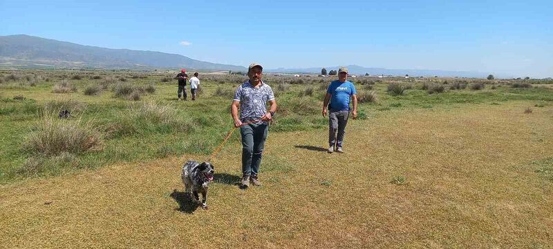 Fermalı av köpekleri 3’üncü kez yarıştı