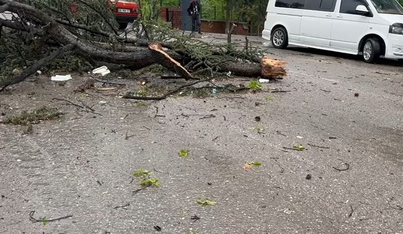 Fırtına Çankırı’da hayatı felç etti: Çatılar uçtu, ağaçlar devrildi