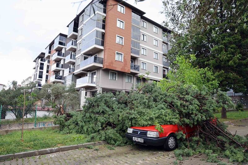 Fırtınada devrilen ağaç, aracın üstüne düştü