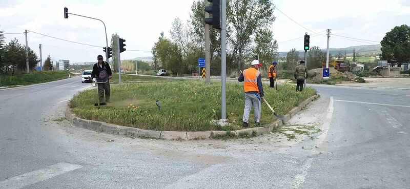 Hisarcık’ta yabani ot biçme çalışması