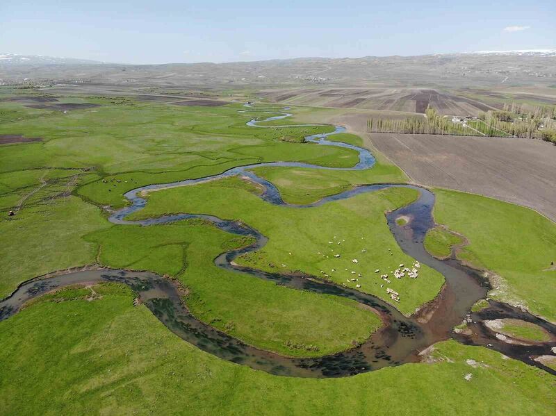 KARS'TAN DOĞAN VE YILAN