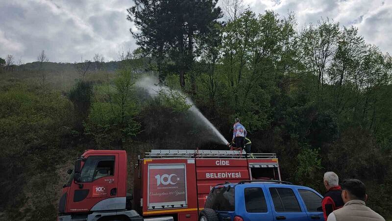 KASTAMONU’NUN CİDE İLÇESİNDE ORMANLIK