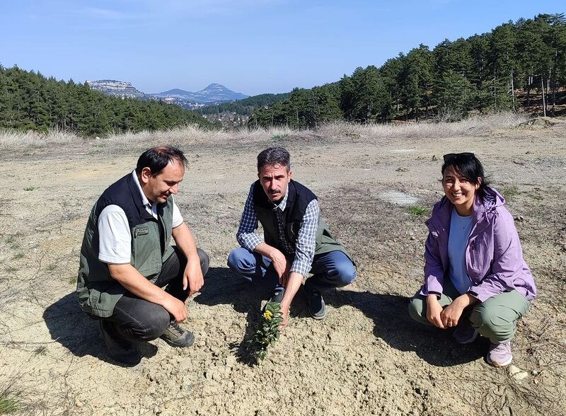 Kömür Ocağı Bal Ormanı, ’örnek bal ormanı’ haline geldi