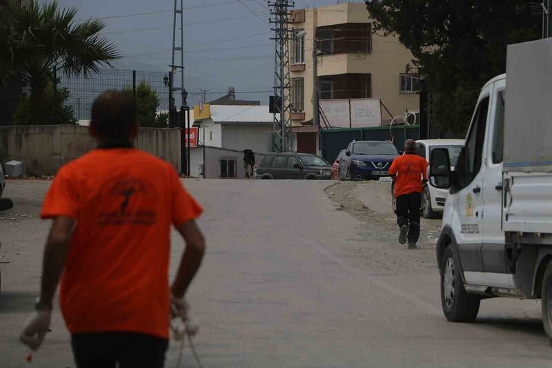 Kuduz hastalığı görülmesiyle karantinaya alınan bölgede sahipsiz hayvanlarla ekipler arasında yaşanan kovalamaca kamerada