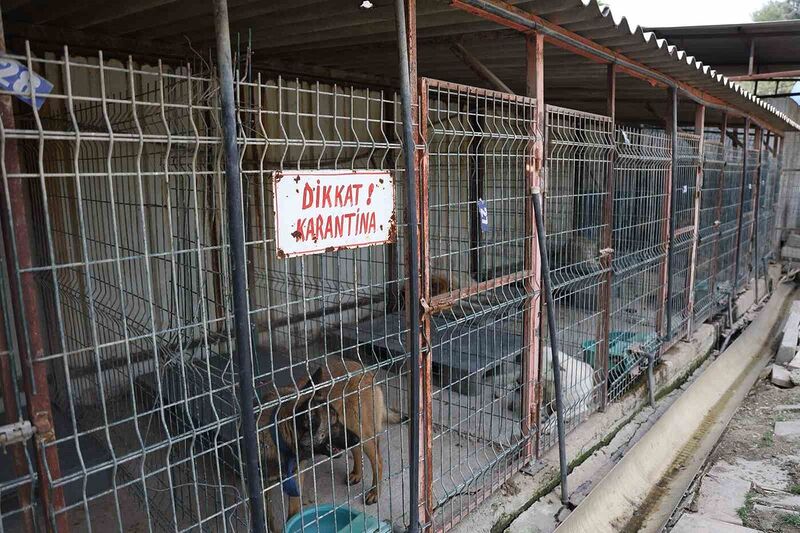 HATAY’IN DEFNE İLÇESİNDE MEYDANA