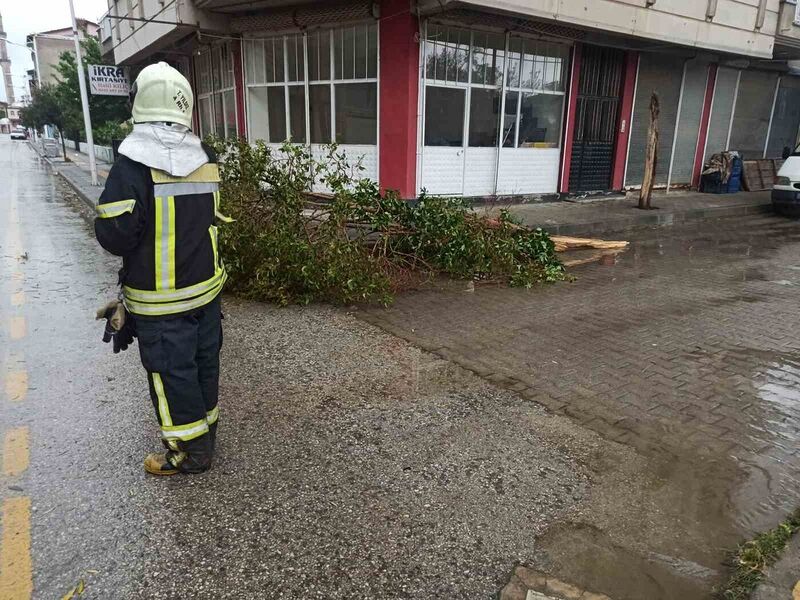 Manisa Büyükşehir ekiplerinden fırtına ve yağış mesaisi