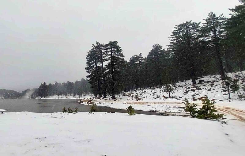 MUĞLA’DA SABAH SAATLERİNDE BAŞLAYAN