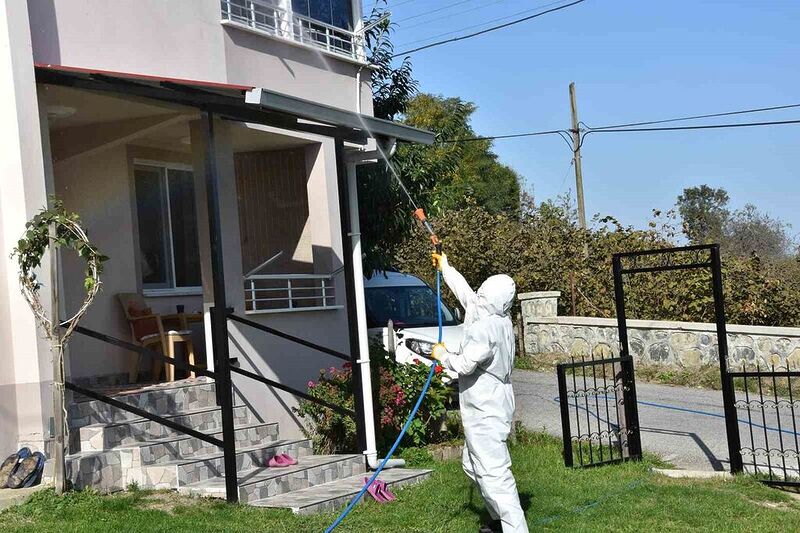 Ordu’da kahverengi kokarca ile mücadele sürüyor: 40 bin noktada ilaçlama yapıldı