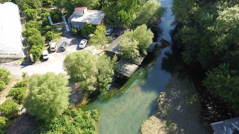 Portakal Çiçeği Karnavalı coşkusu Kozan’ı da sardı