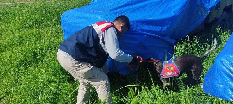 Şanlıurfa’da silah kaçakçılarına operasyon: 3 gözaltı