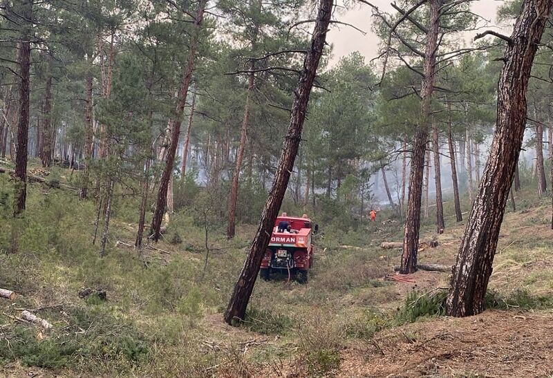 TAVŞANLI'DA ORMAN YANGINI